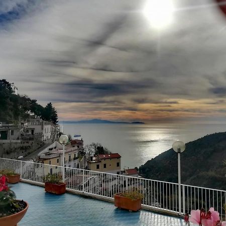 Contrada Vigna Bed & Breakfast Vietri Eksteriør bilde