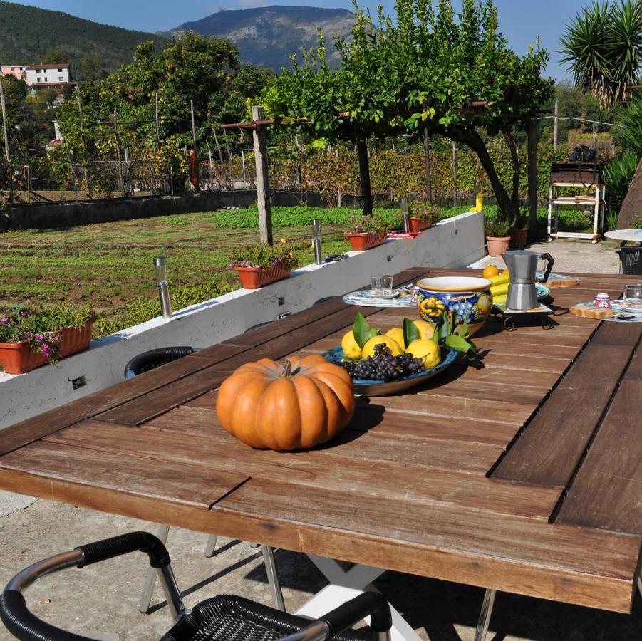 Contrada Vigna Bed & Breakfast Vietri Eksteriør bilde